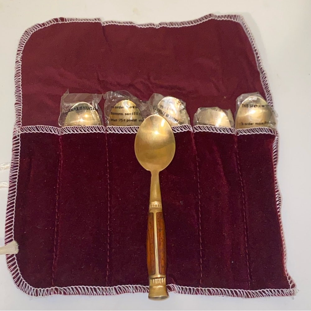 Vintage Bronze and Teakwood Demitasse Spoons in Protective Storage Case Set of 6